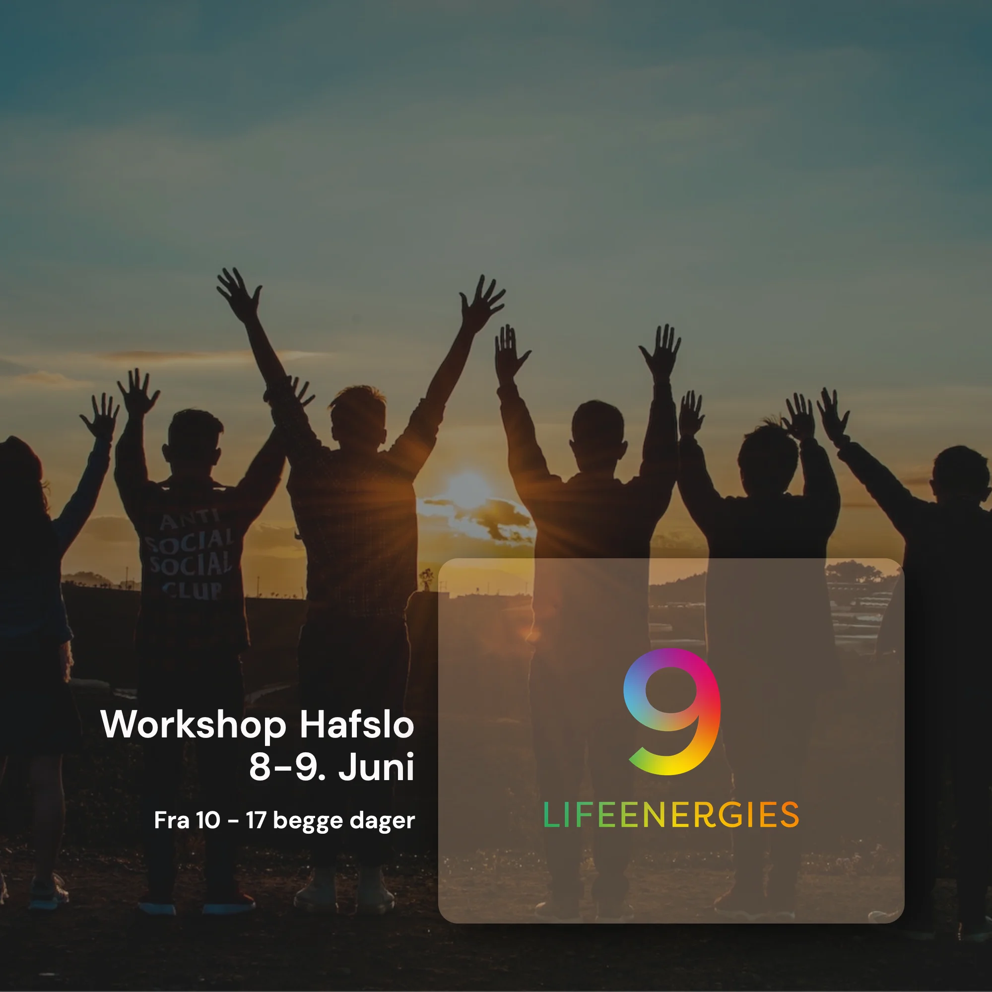 9 Lifeenergies workshop in Hafslo