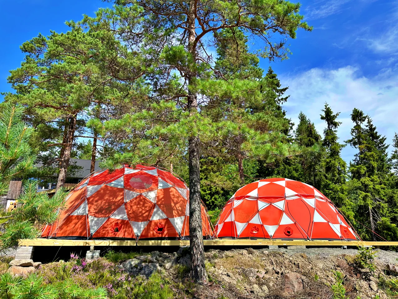 Himalaya Dome Telt - I Skogen Hos Morten