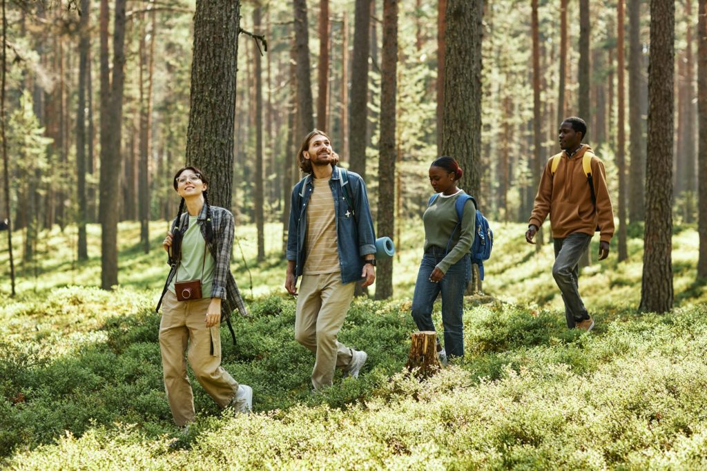 Skogseventyr i skogen Hos morten