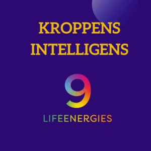 Grunnkurs om 9 Livsenergier og kroppens intelligens!